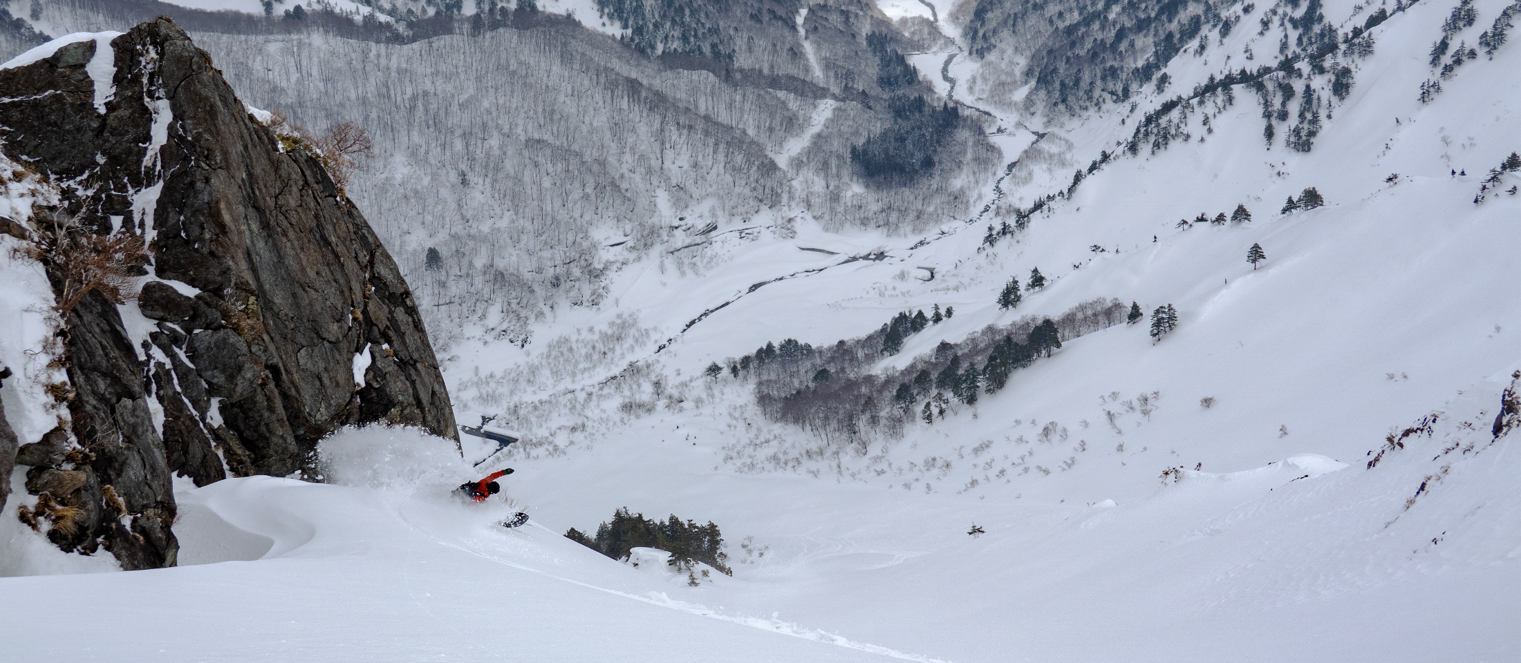 yo_hakuba-01.png
