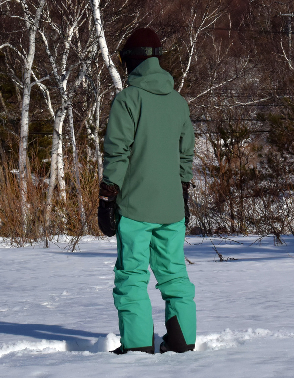 prm20104-3forest_1-3.jpg