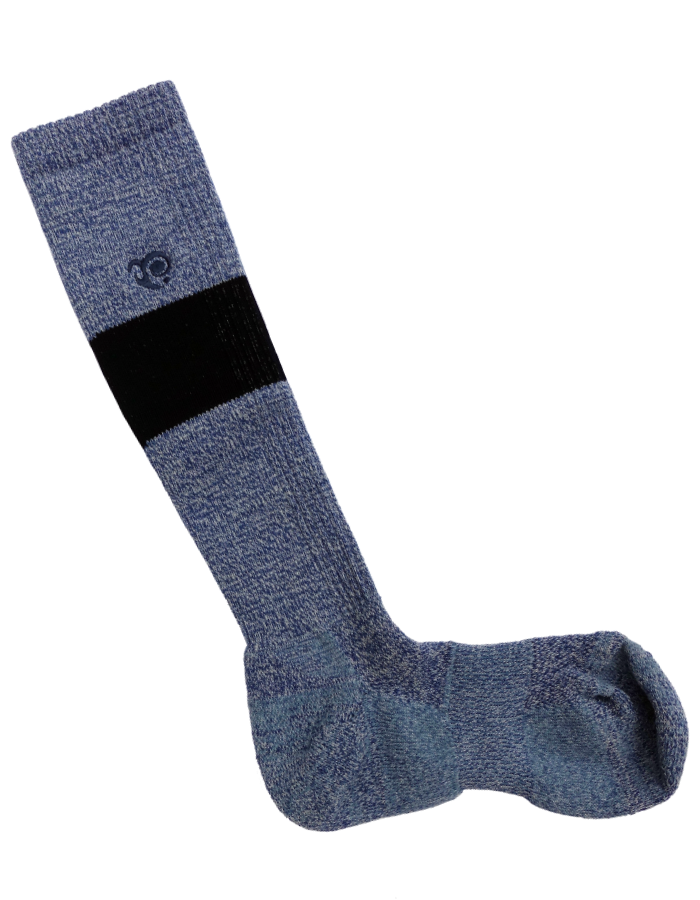 prm20707_2indigo.png
